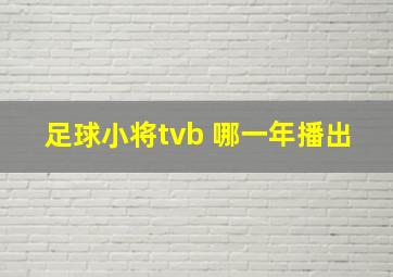 足球小将tvb 哪一年播出